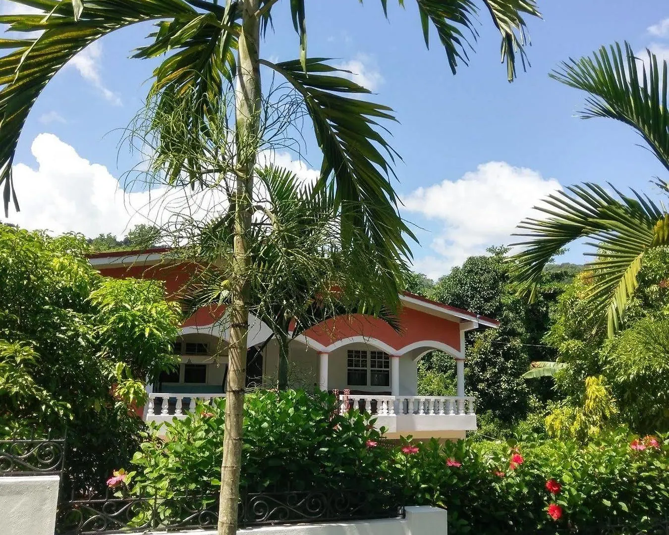 Polish Princess Guest House Port Antonio
