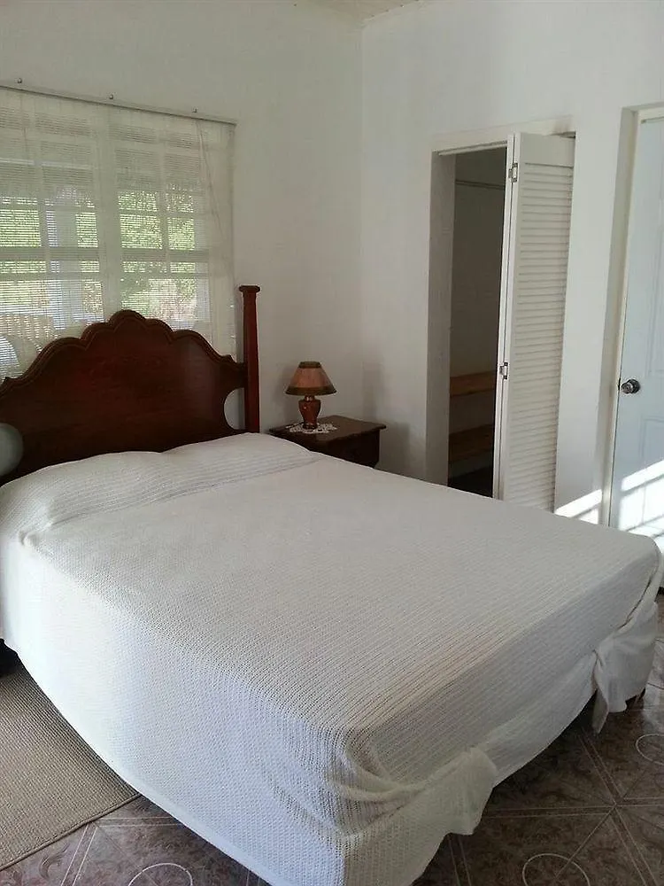 Polish Princess Guest House ポート・アントニオ